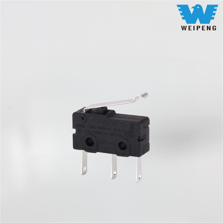 10A Schalter für Fleischwolf, Mixer und Sojamilchbereiter