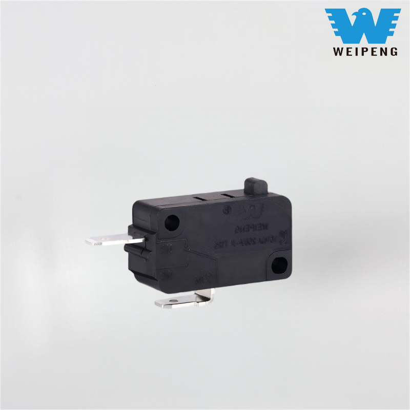 Silberner Kontakt-Mikroschalter für Fritteusen