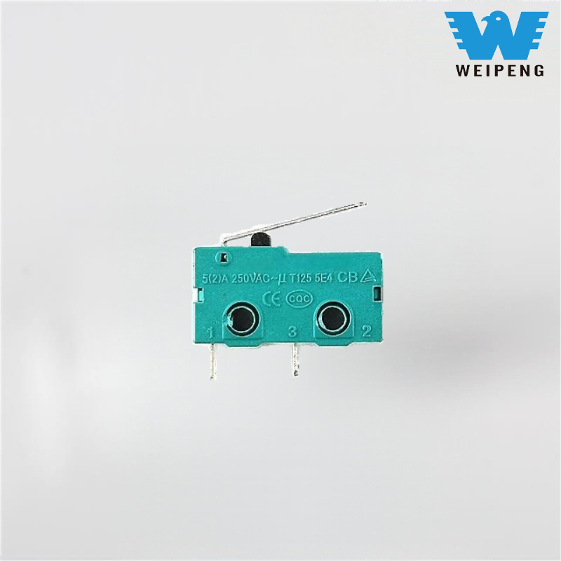 Thermo-Reiskocher, Warmwasserbereiter, Entsafter, Mikroschalter