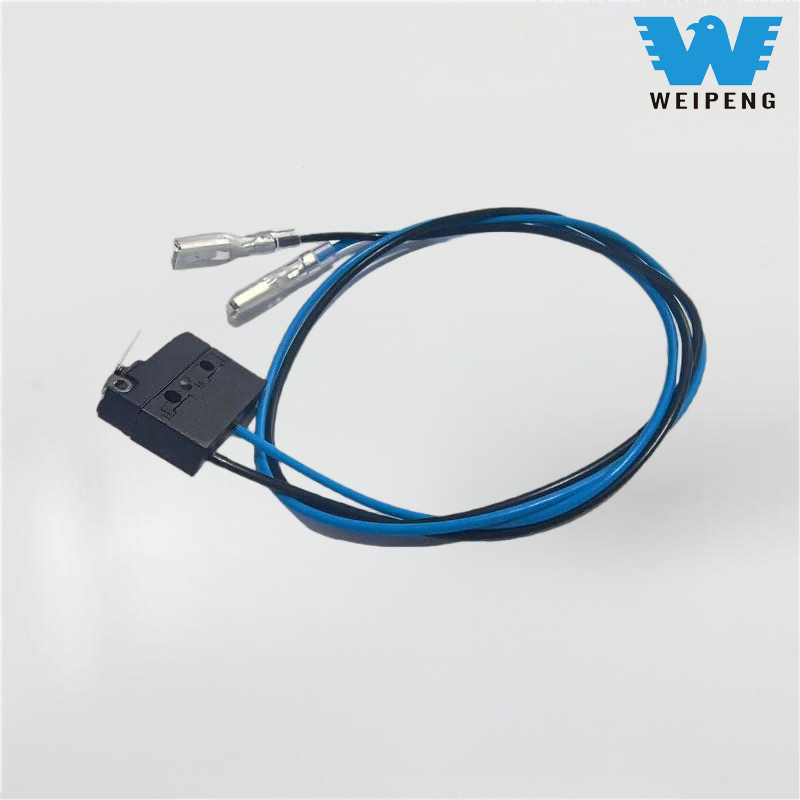 Wasserdichter, staubdichter, hochtemperaturbeständiger IP67-Mikroschalter