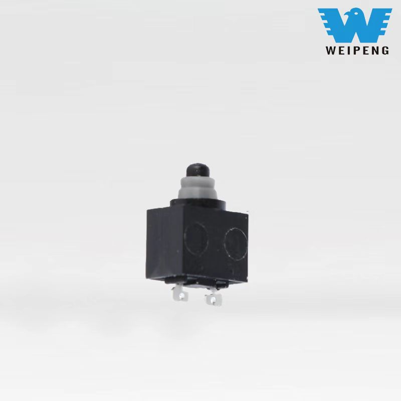 Wasserdichtes Mikroschalter Zweibeiniger